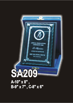 Acrylic 281 (SA209)