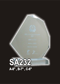 Acrylic 304 (SA232)