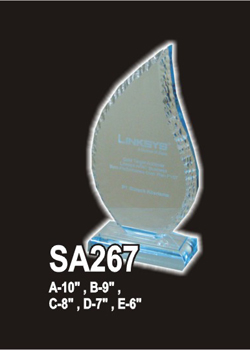 Acrylic 339 (SA267)