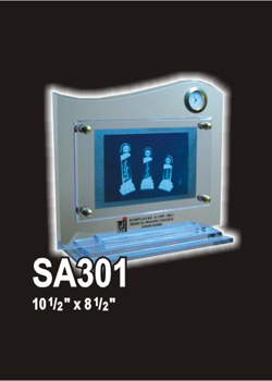 Acrylic 373 (SA301)