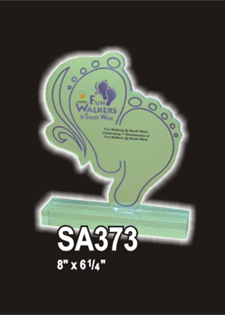 Acrylic 445 (SA373)