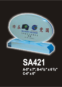 Acrylic 493 (SA421)