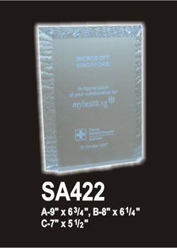 Acrylic 494 (SA422)