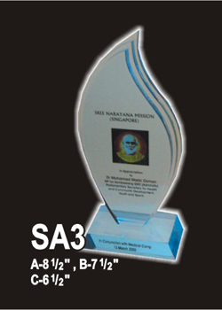 Acrylic 53 (SA3)