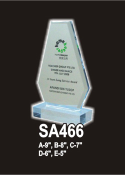 Acrylic 538 (SA466)