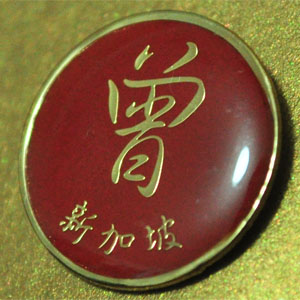 Brass etching pin 08