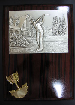 Wooden Plaque 19